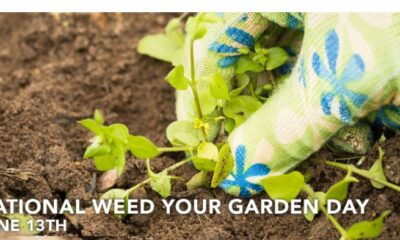 National Weed Your Garden Day
