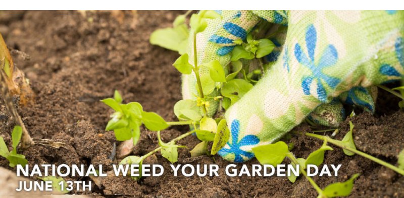 National Weed Your Garden Day