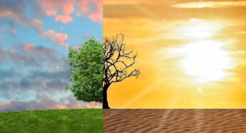 World Environment Day – How climate change is negatively impacting your health