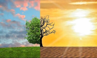 World Environment Day – How climate change is negatively impacting your health
