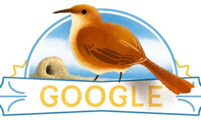 Argentina Independence Day 2022 Google Doodle