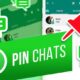 How to pin 3 important WhatsApp chats on top of your chat list