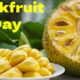 Jackfruit Day 1