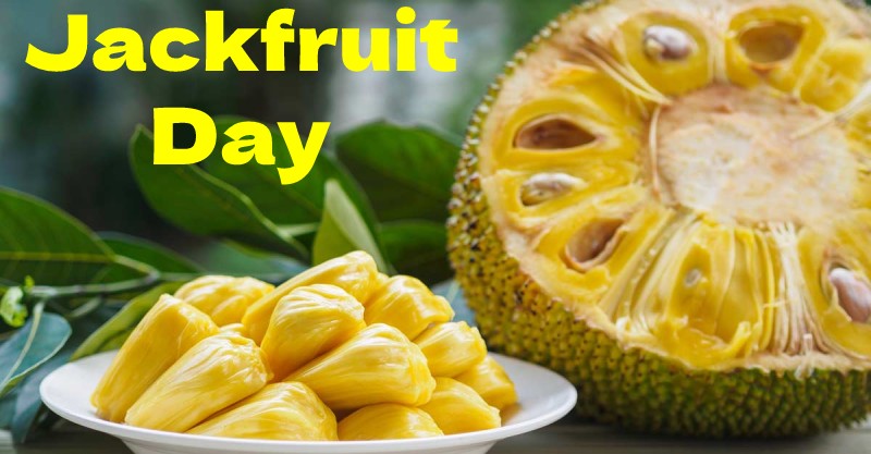 Jackfruit Day 1