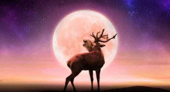 July Full ‘Buck’ Moon will be seen tonight