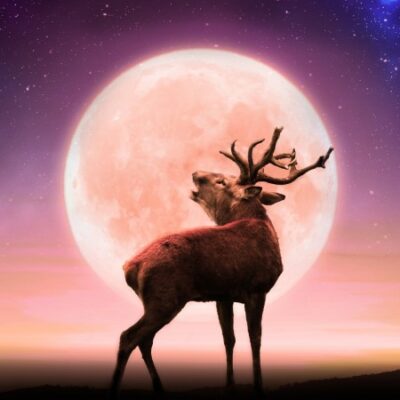 July Full Buck Moon will be seen tonight