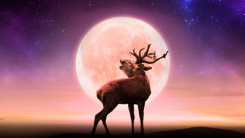 July Full Buck Moon will be seen tonight