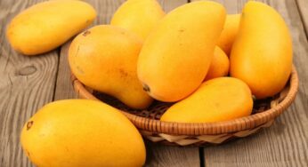 National Mango Day: Interesting and Nutrition Facts about Mangoes