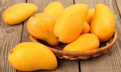 National Mango Day Interesting and Nutrition Facts about Mangoes