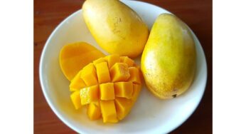 Top 10 healthy reasons why you should eat mangoes during summer