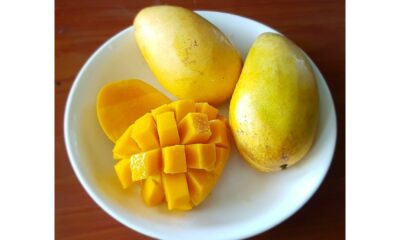 Top 10 healthy reasons why you should eat mangoes during summer