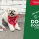 Krispy Kreme releases its first ever collection of Doggie Doughnuts on National Dog Day 2022