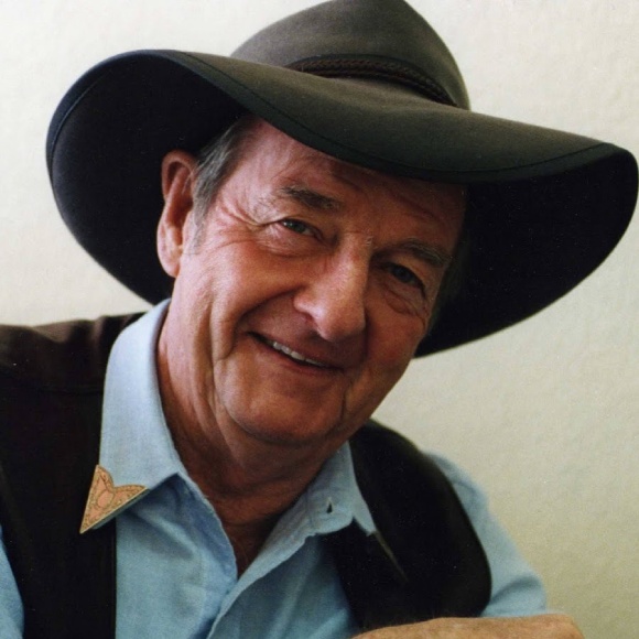 Singer slim dusty