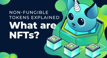 Explaining Non-Fungible Tokens