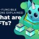Explaining Non Fungible Tokens