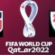 USA vs Wales FIFA World Cup Qatar 2022