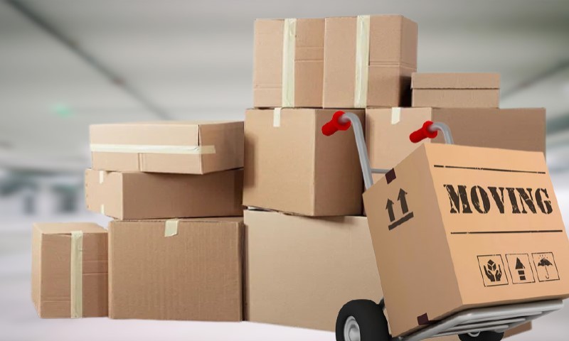 Organization of moves with a moving company