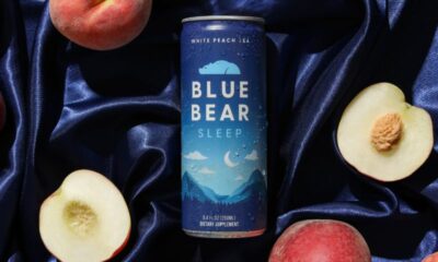 blue bear