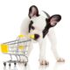 Dog Supplies Important Things to Have for Your Dog