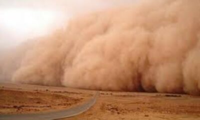 Iran will host an international conference on preventing sand and dust storms