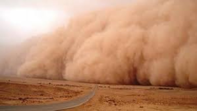 Iran will host an international conference on preventing sand and dust storms