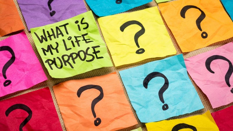 Discovering Your Life Purpose Important Moments You Should Know About