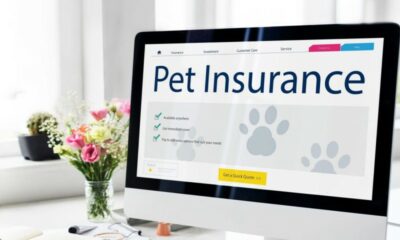 The Benefits of Pet Insurance for Purebred Dogs