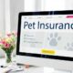The Benefits of Pet Insurance for Purebred Dogs