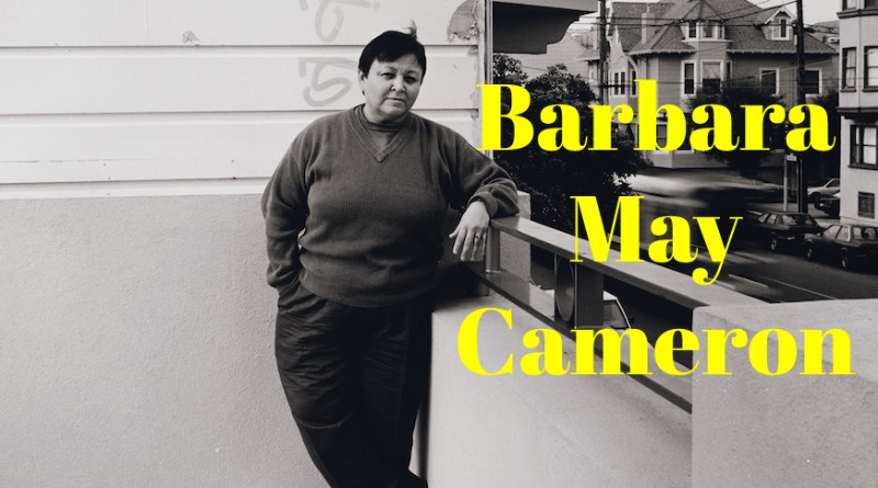 Interesting Facts about Barbara May Cameron, a Native American Writer, and Human Rights Activist