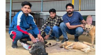 VOSAH – Voice Of Stray Animals Hapur making you pause to think that there are paws to consider