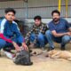 VOSAH Voice Of Stray Animals Hapur making you pause to think that there are paws to consider