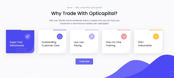 Services Offered by Opticapital Opticapital5.com Review