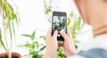How can you learn more about your indoor and garden plants on your smartphone?