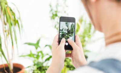 How can you learn more about your indoor and garden plants on your smartphone