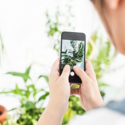 How can you learn more about your indoor and garden plants on your smartphone