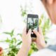 How can you learn more about your indoor and garden plants on your smartphone
