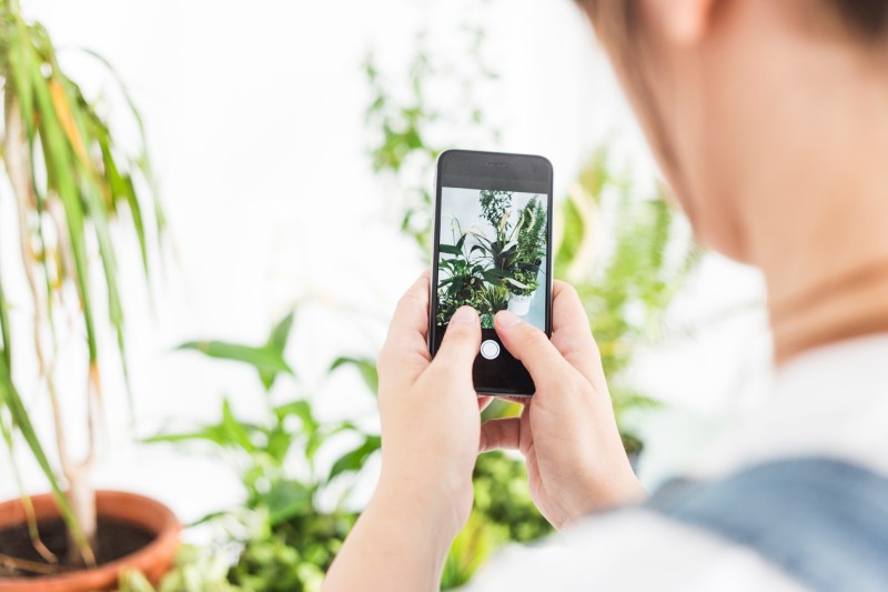 How can you learn more about your indoor and garden plants on your smartphone