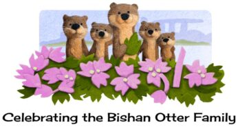 Interesting Facts about the Bishan Otter Family, a Family of Smooth-coated Otters