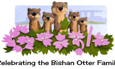 Interesting Facts about the Bishan Otter Family, a Family of Smooth coated Otters Google Doodle
