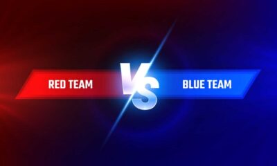 Red Team vs. Blue Team Understanding the World of Penetration Testing