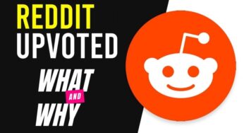 Reddit Upvotes: What and Why?
