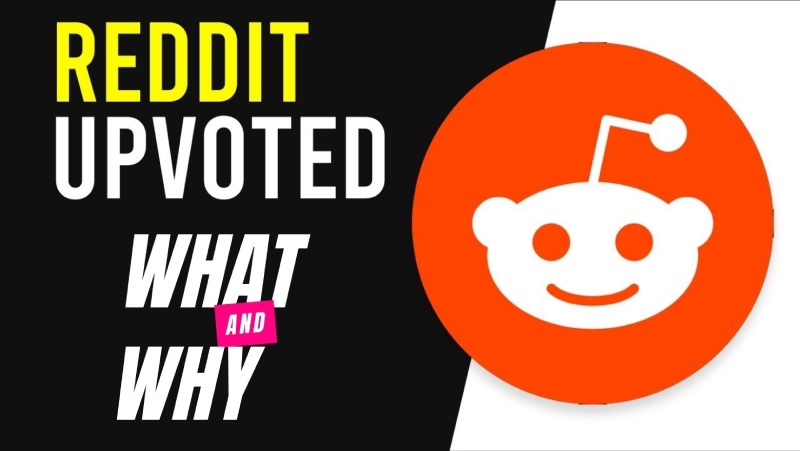 Reddit Upvotes What and Why