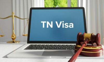 What to Look for In A Qualified TN Visa Attorney