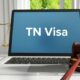 What to Look for In A Qualified TN Visa Attorney