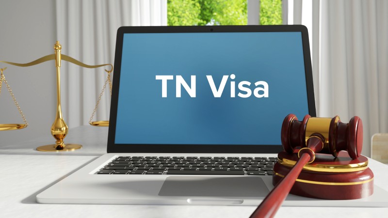 What to Look for In A Qualified TN Visa Attorney