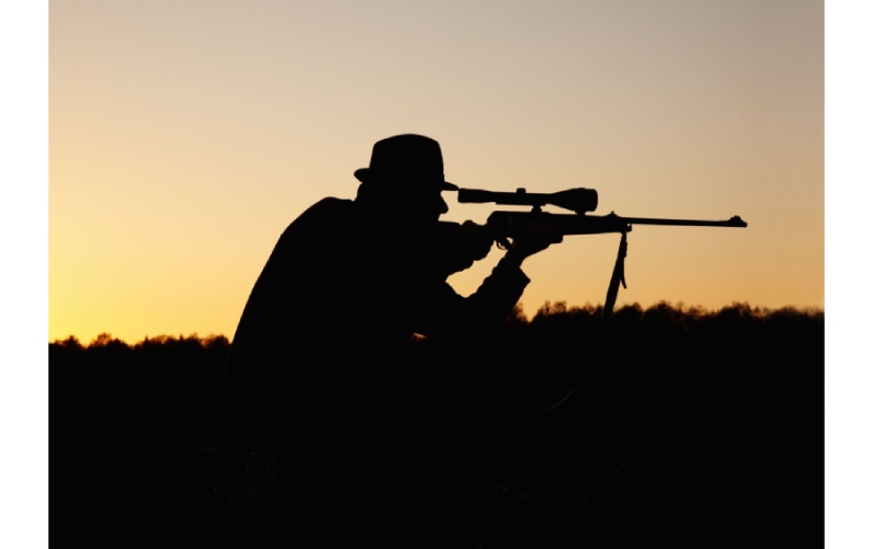 William Carson Discusses Embarking on the Hunt A Beginner's Guide to Getting Started in the World of Hunting Essential Tips, Gear, and Safety Precautions