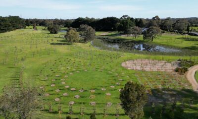 5 Common Myths That Families Have About Green Burials