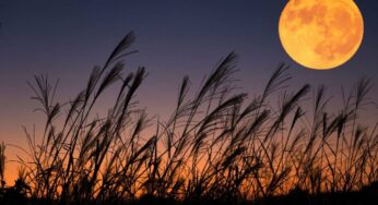 Last Supermoon 2023: Don’t miss the Harvest Moon September Full Moon view along with three dazzling planets