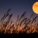 Last supermoon 2023 Don't miss the Harvest Moon September Full Moon view along with three dazzling planets