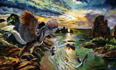 Researchers Think They've Found The Missing Link Between Dinosaurs And Birds